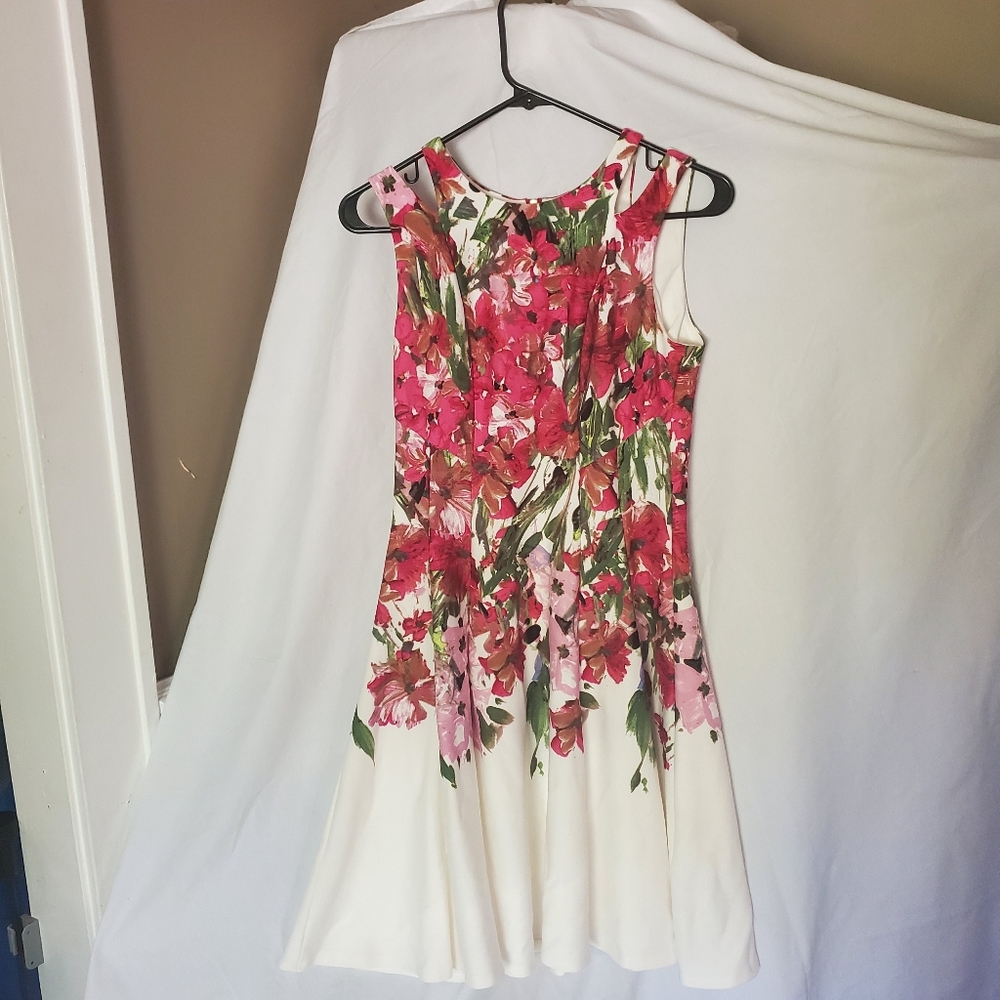White Pink Floral Roz & Ali Dress